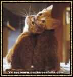 mes foto pr�f�r�